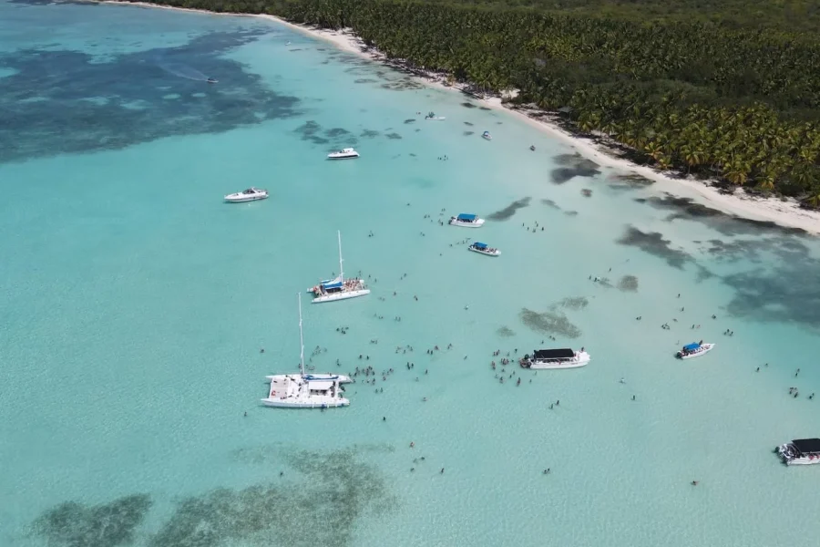 Discover Saona Island